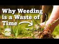 Thumbnail for Weeds Improve Soil | Using them is Eco-logical