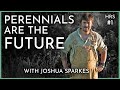 Thumbnail for Natural Farming Pioneer: "We're quite extreme... perennials have replaced...