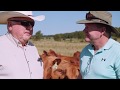 Thumbnail for Adaptive Grazing 101: A Conversation with Burke Teichert, Grazing Consultant