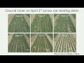 Thumbnail for Organic No-Till Updates and Experiences