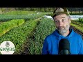 Thumbnail for What to Grow if You Can Grow Anything + Undersowing Cover Crops with Tomatoes?