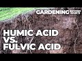 Thumbnail for Humic Acid vs. Fulvic Acid: Composition and Application