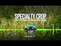 Thumbnail for Sesame Farming Contracts Offer High ROI Potential | Farming Podcast