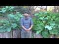Thumbnail for The Permaculture Student Online visits Erik Ohlsen' Homestead