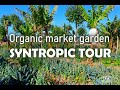 Thumbnail for Organic Market Gardens - A tour of a highly productive syntropic organic...