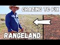 Thumbnail for “Fixing Fragile Land: Smart Outback Grazing Solutions”