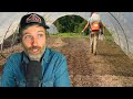 Thumbnail for The Government is Withholding Funds from Farmers + Are Foliar Sprays a Good Idea?