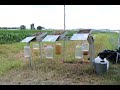 Thumbnail for Webinar: Updates on Soil Health & Water Quality under Contrasting Farming Systems