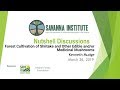 Thumbnail for Forest Cultivation of Shiitake and Other Edible and/or Medicinal Mushrooms:...