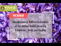 Thumbnail for Webinar: Introduction to Saffron Cultivation in the United States—Growing...