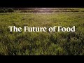 Thumbnail for Future of Food | Soil Regeneration Documentary