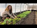 Thumbnail for Growers Live - Jayne Merner Senecal (Earth Care Farm) - 5/25/21