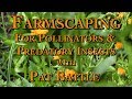 Thumbnail for Farmscaping for Pollinators & Predatory Insects