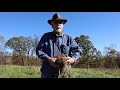 Thumbnail for Summary of Soil Health and Adaptive Grazing with Greg Brann