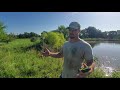 Thumbnail for Here is our daily strip grazing fencing set-up with visuals and explained in detail.