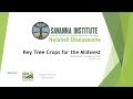Thumbnail for Key Tree Crops for the Midwest with Kaitie Adams