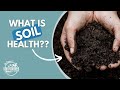 Thumbnail for The Soil Food Web Movement Part 1: Understanding Soil Health