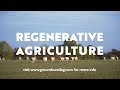 Thumbnail for Farmers are changing the world with REGENERATIVE AGRICULTURE - Groundswell Short Film