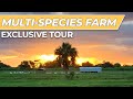 Thumbnail for LIVE Tour: Circle C Farm [Regenerative Farm Business]