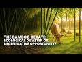 Thumbnail for The Bamboo Debate: Ecological Disaster or Regenerative Opportunity?