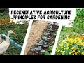 Thumbnail for Regenerative Agriculture Principles for Gardening