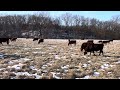 Thumbnail for Greg gives brief history of Green Pastures Farm, sharing success and...