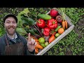 Thumbnail for 10 Steps to Growing Most of Your Own Food (In Less Than 10 Hours A Week)