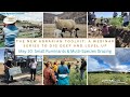 Thumbnail for New Agrarian Toolkit #2: Small Ruminants and Multi-Species Grazing