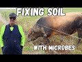 Thumbnail for Soil Microbes are The Key To This Farm's Success