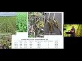 Thumbnail for david wallis & nigel gillis danÚ group   day 3   biofarm 2022 1080p
