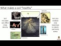 Thumbnail for Rick Lankau and Teal Potter OGRAIN 2019 - Understanding the biological...