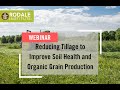 Thumbnail for Webinar: Reducing Tillage to Improve Soil Health and Organic Grain Production