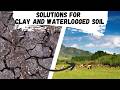 Thumbnail for Solutions for Clay and Waterlogged soil