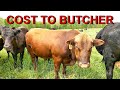 Thumbnail for What Does It Cost To Have A Whole Cow Butchered?