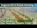 Thumbnail for Ocean Farming: The Solution to Our Food and Climate Crisis?