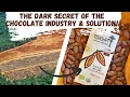 Thumbnail for Regenerative Chocolate: The Dark Secret of the Chocolate Industry & Solution!