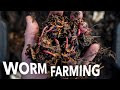 Thumbnail for Vermicompost and Worm Breeding at Any Scale || Arizona Worm Farm