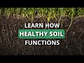 Thumbnail for Rapidly Rebuild Your Soil Health Part 1: How Healthy Soil Works
