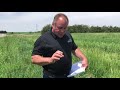Thumbnail for Dale Strickler | Perennial Forage Test Plot | Winter Survival
