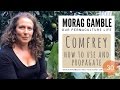 Thumbnail for Comfrey: how to use, harvest and propagate by Morag Gamble