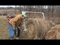 Thumbnail for Raising Cattle: What is Bale Grazing v/s Unrolling hay, is it better for the land?
