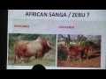 Thumbnail for Sustainable Ranching, Day 1 Part 7