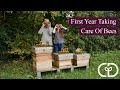 Thumbnail for First Year Taking Care of Bees