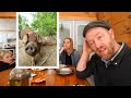 Thumbnail for Should We Get Pigs (Again)? Already?