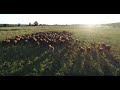 Thumbnail for Financial Planning and Funding Options for Successful Grazing