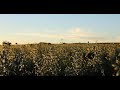 Thumbnail for Grazing Educator Webinar Series: Grazing for Conservation and Soil Health