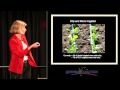 Thumbnail for Sandra Postel - Water: 2012 Quivira Coalition Conference