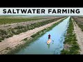 Thumbnail for 2 BILLION Acres of NEW Farmland