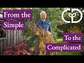 Thumbnail for How to save your own seeds with tips on storing them