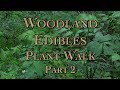 Thumbnail for Woodland Edibles Plant Walk Part 2